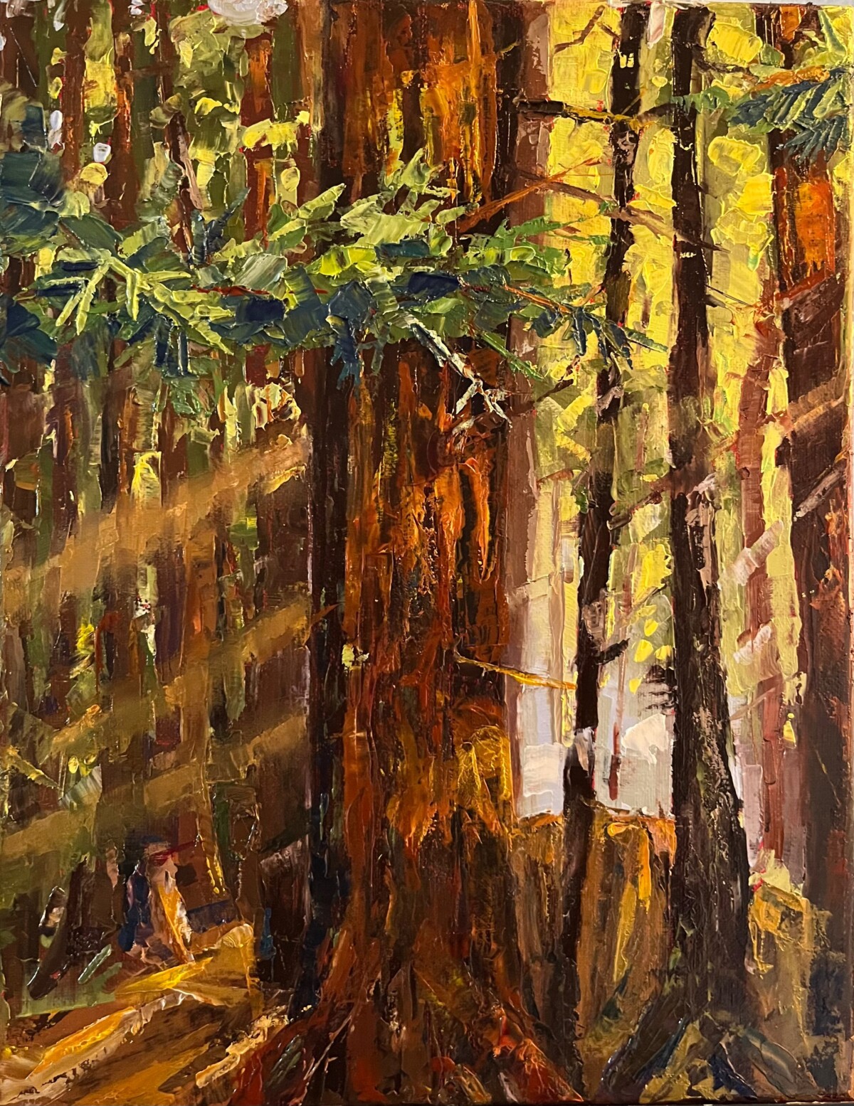 Original Painting of Redwood Trees